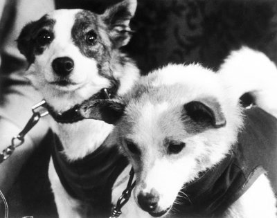 Belka och Strelka.