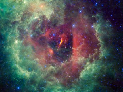Rossetnebulosan (NGC 2237) fotograferad av Wise.