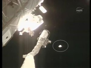 Williams tappar sin kamera under sin första rymdpromenad i december förra året.