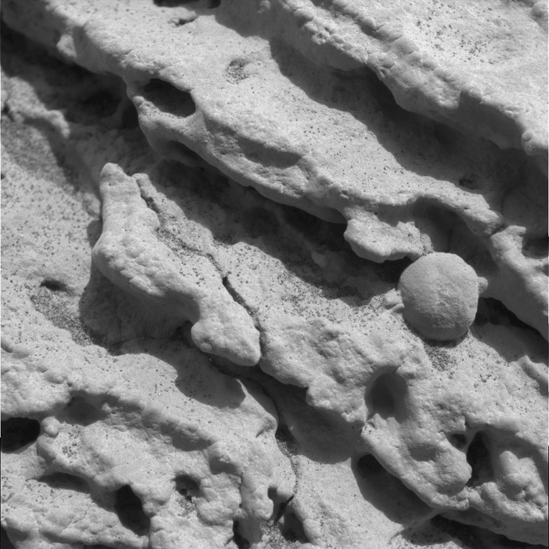 NASA